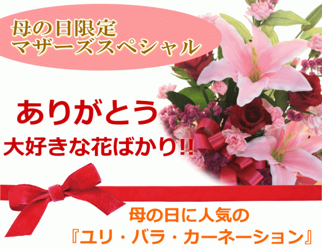 母の日 花 カーネーション