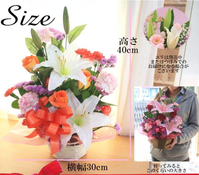 母の日 花 カーネーション