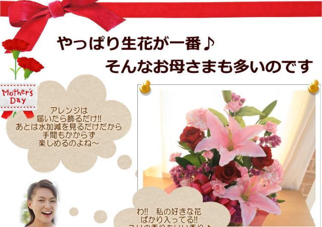 母の日 花 カーネーション