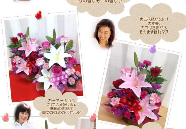 母の日 花 カーネーション