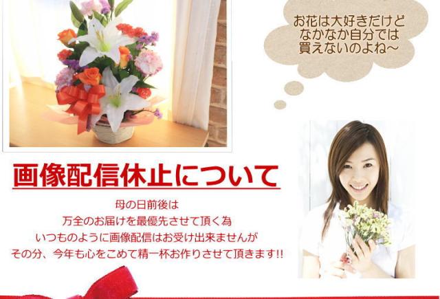 母の日 花 カーネーション