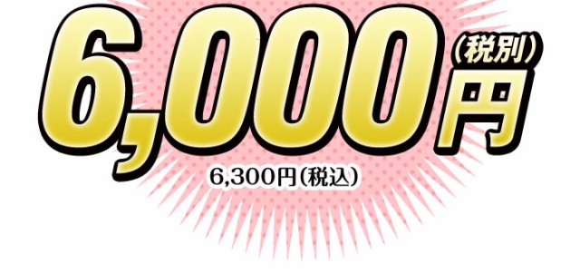 6,000円（税別） 6,300円（税込）