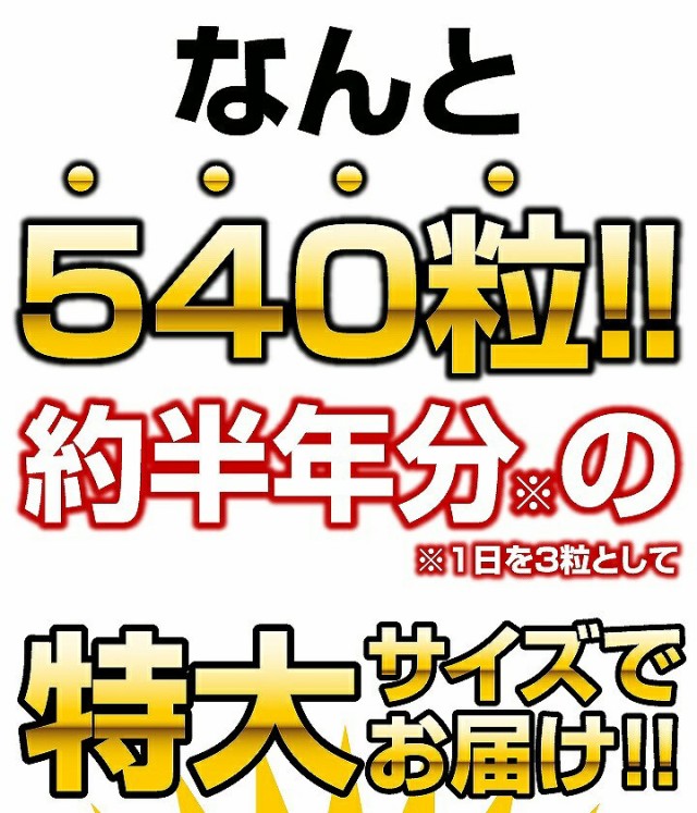 特大サイズで1日分わずか17円、約半年分たっぷり大容量