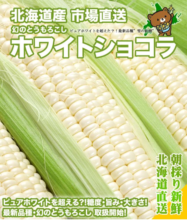 北海道産/ホワイトショコラ