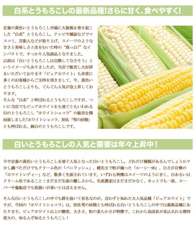 北海道産/ホワイトショコラ