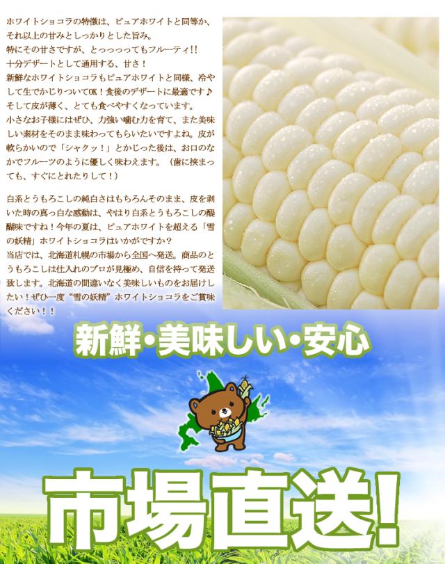 北海道産/ホワイトショコラ