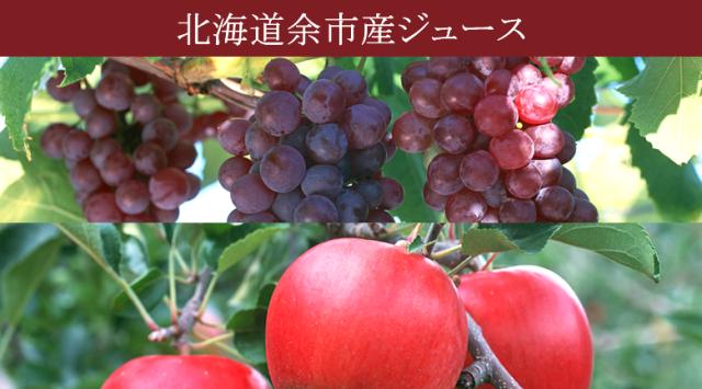 北海道よいちトマトジュースHY40