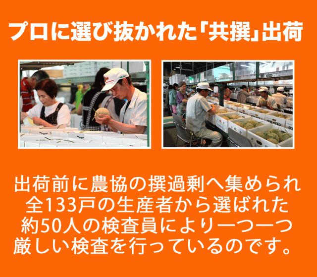 夕張メロン共通_sp_03_