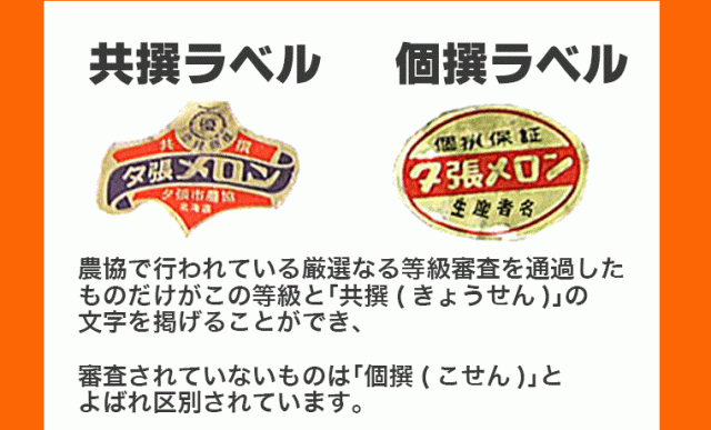 夕張メロン共通_sp_03_002