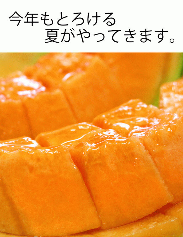 夕張メロン共通_sp_04_02_001