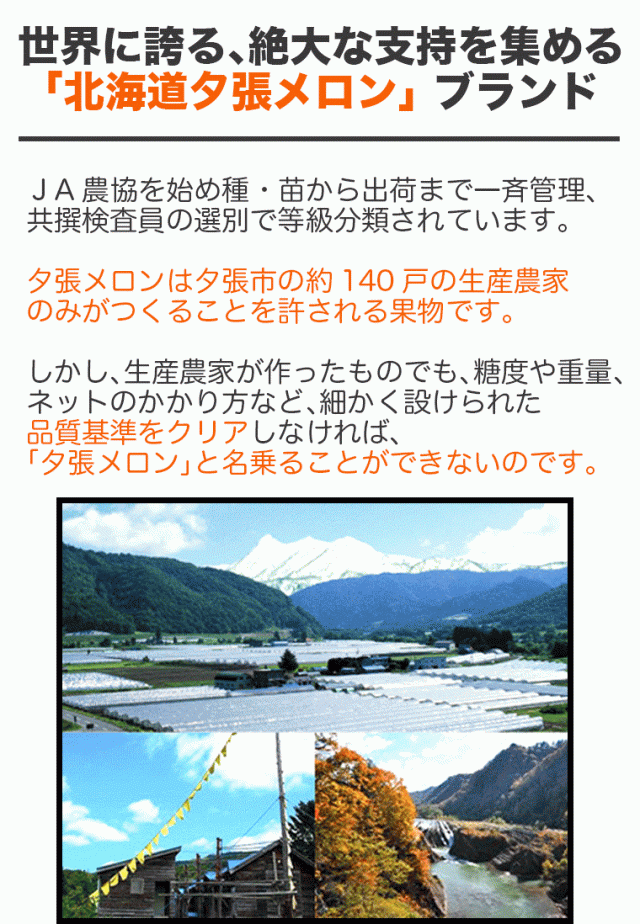 夕張メロン共通_sp_04_02_002