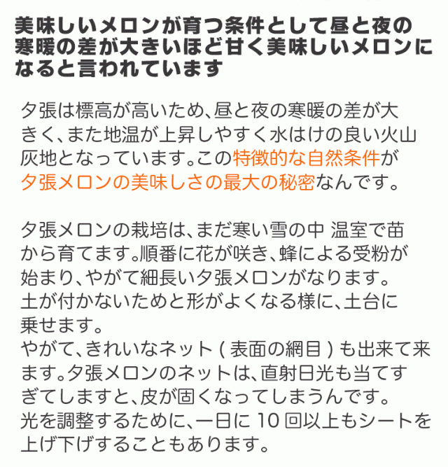 夕張メロン共通yubarimelon_sp_04_02_002