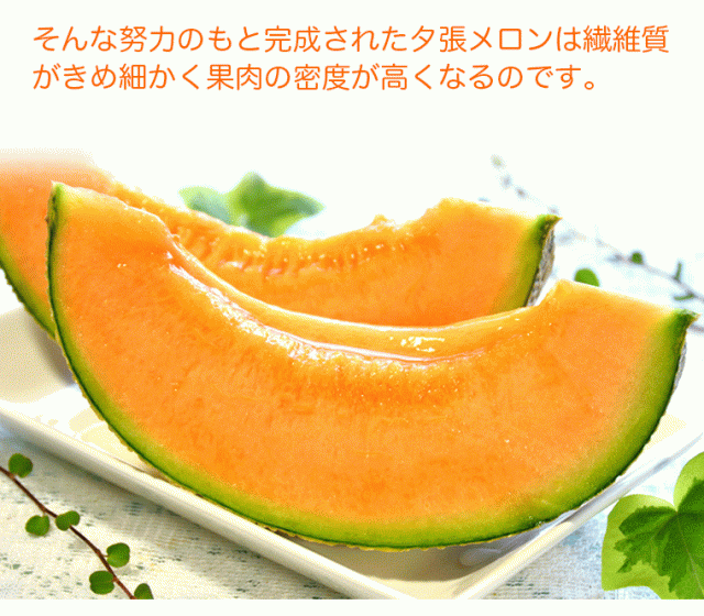 夕張メロン共通yubarimelon_sp_04_02_003