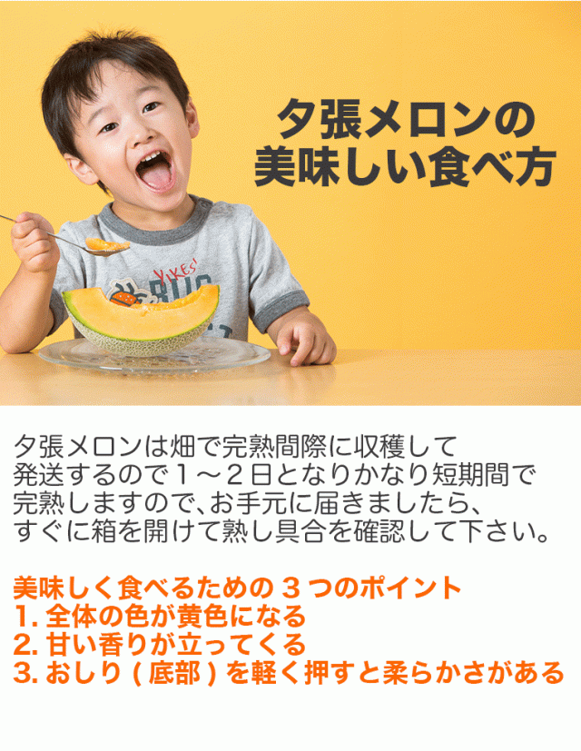 夕張メロン共通yubarimelon_sp_05_002