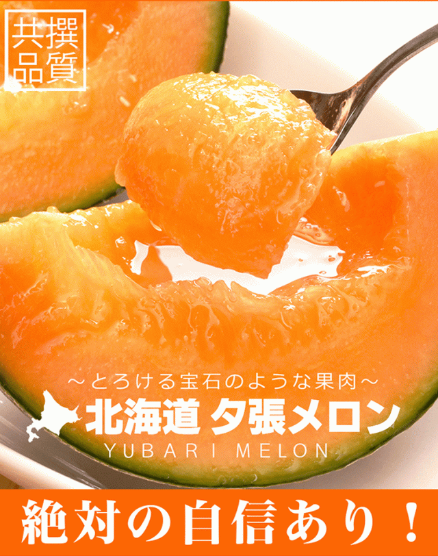 夕張メロン共通