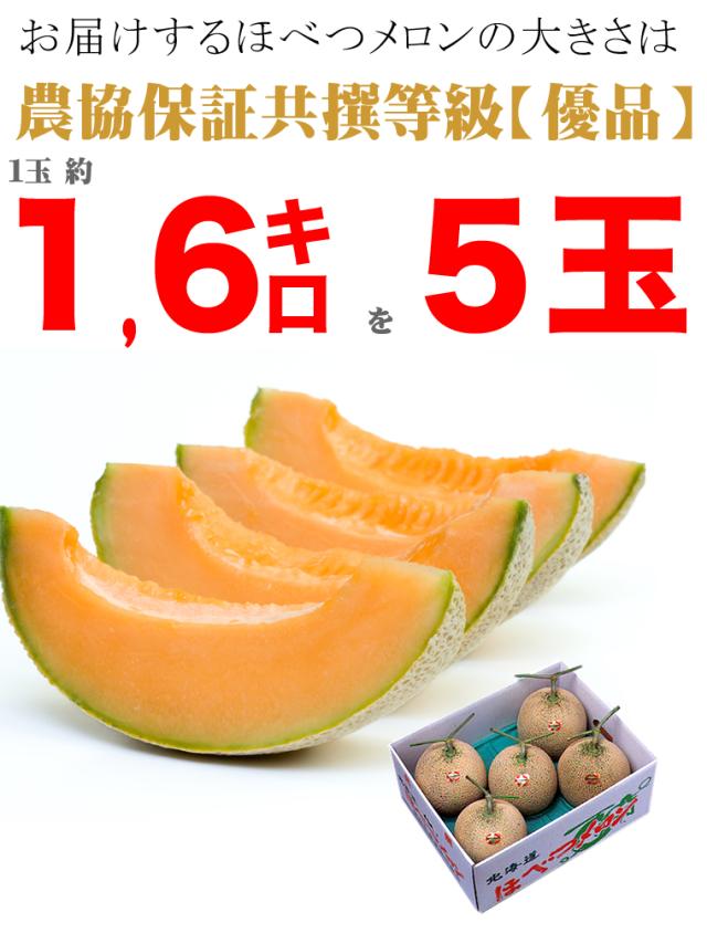 数量限定 特売 21年ご予約承り中 7月出荷開始 お中元 フルーツ メロン 送料無料 北海道 共選 優品 ほべつメロン 5玉入り 1 6kg 5玉 お中元 御 高い素材 Olsonesq Com