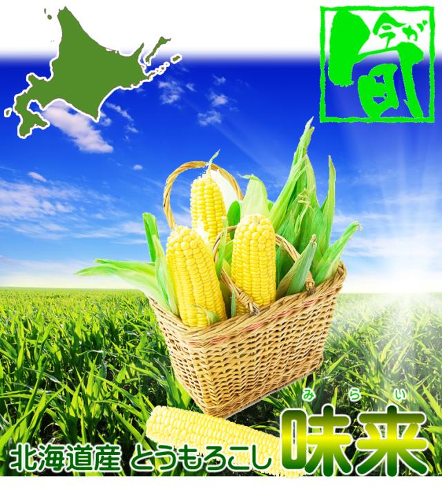 北海道産 味来(みらい)