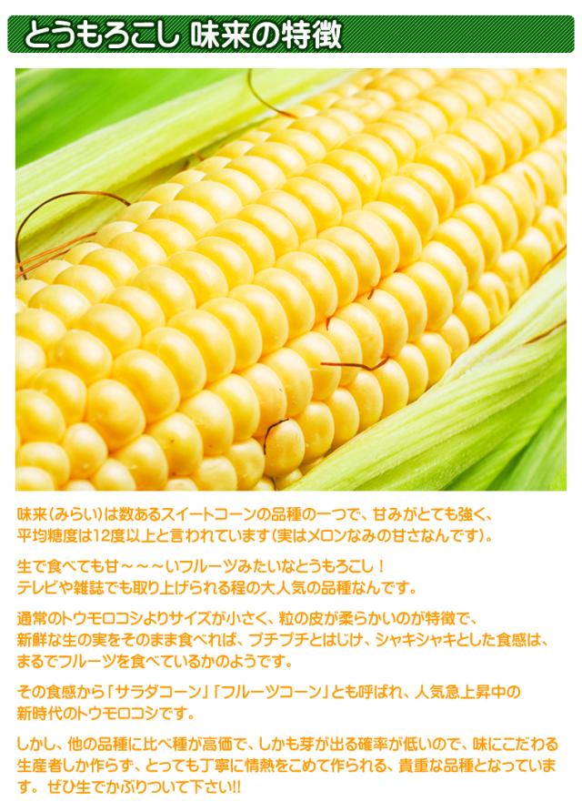 北海道産 味来(みらい)
