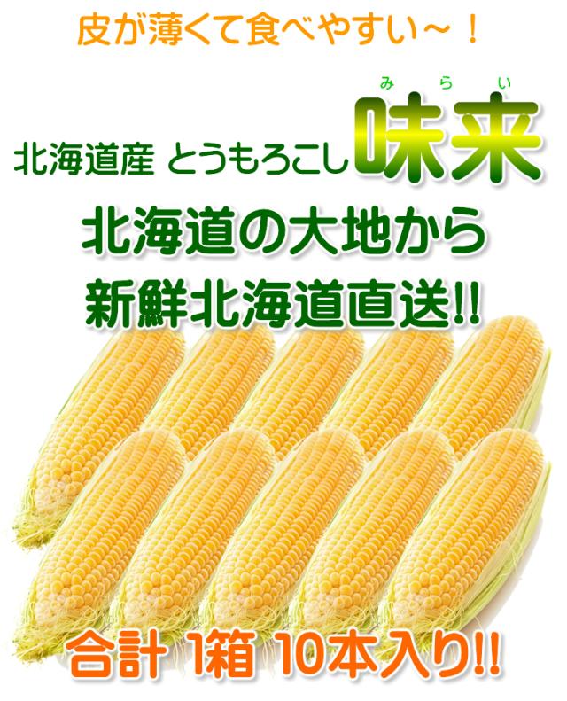 北海道産 味来(みらい)10本