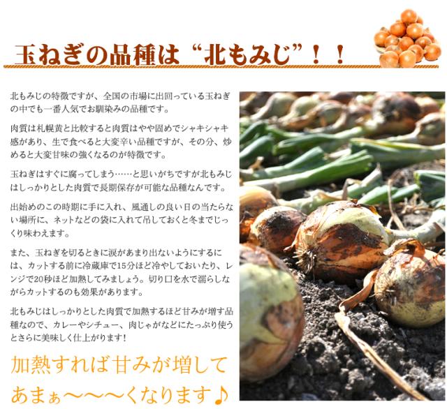 北海道産 玉ねぎ 10kg