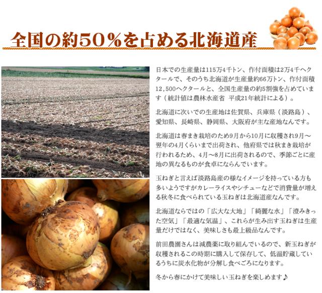 北海道産 玉ねぎ 10kg