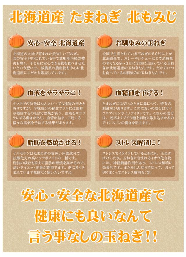 北海道産 玉ねぎ 10kg