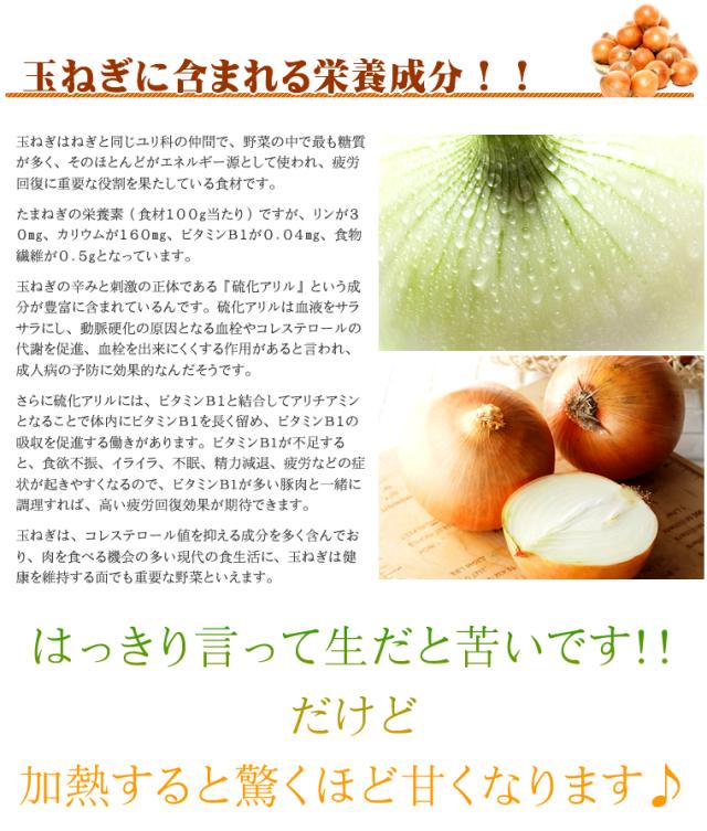 北海道産 玉ねぎ 10kg