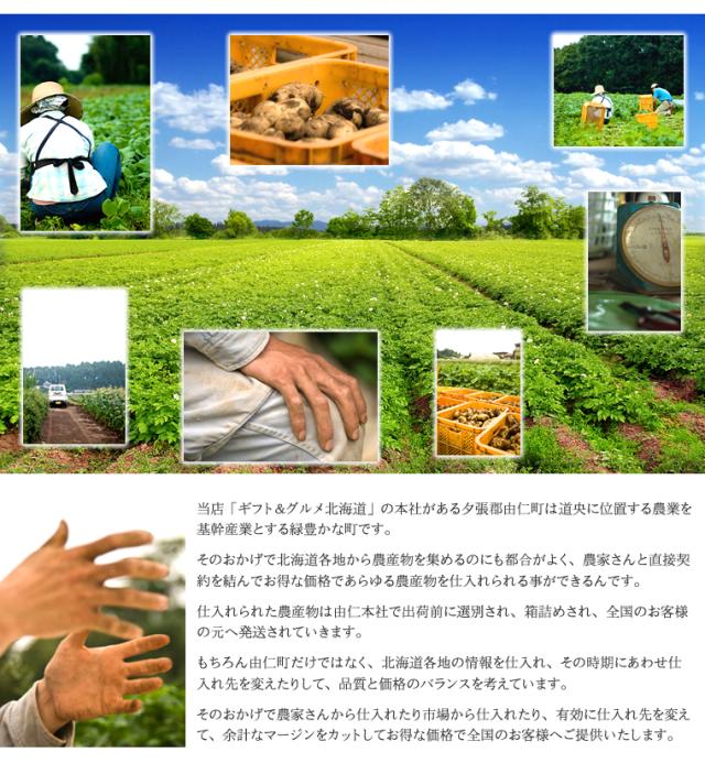 北海道産 玉ねぎ 10kg