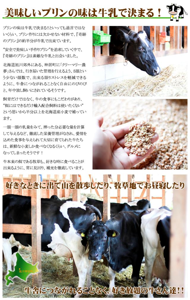 奇跡のプリン 自由に選べる８個セット