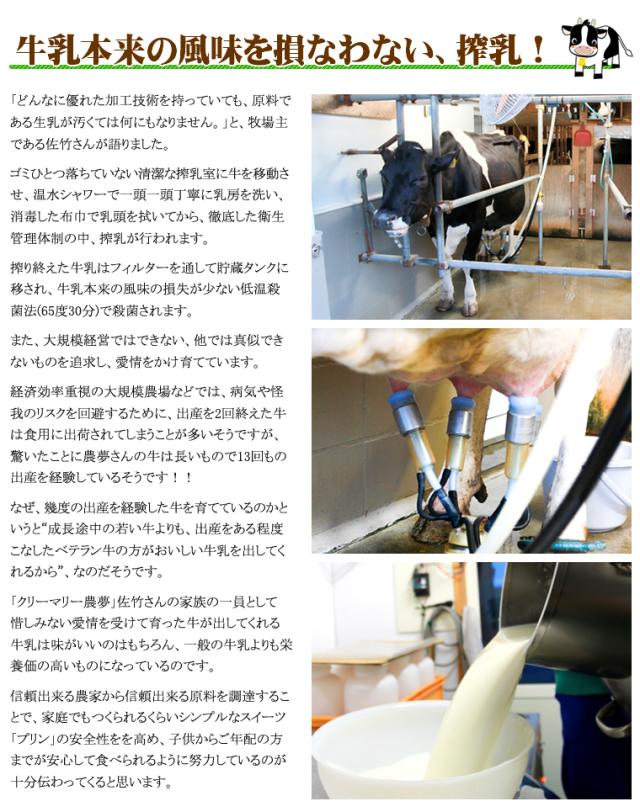 奇跡のプリン 自由に選べる８個セット