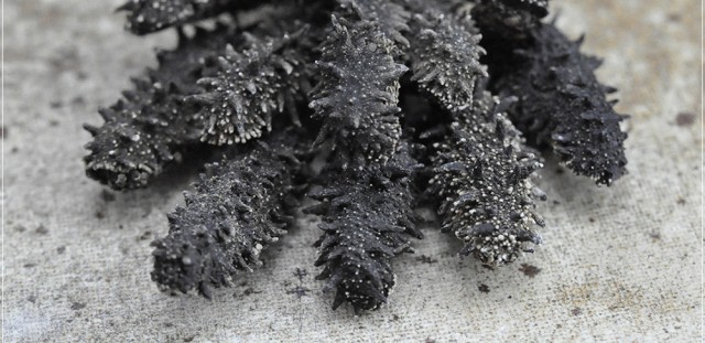 ギフト 送料無料 北海道産 天然 乾燥なまこ ｂ級品 10g 18g 500g 乾燥ナマコ ナマコ 干しの通販はau Pay マーケット ギフト グルメ北海道 商品ロットナンバー