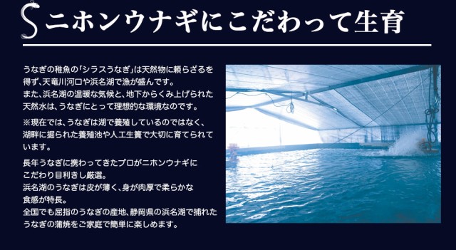 特価最安値 お中元 ウナギ 蒲焼き セットの通販はau PAY マーケット - ギフト&グルメ北海道|商品ロットナンバー:1890 ギフト 送料無料 高級品・静岡県浜松・浜名湖産うなぎセット(3尾) / 国産 うなぎ 品質保証新作
