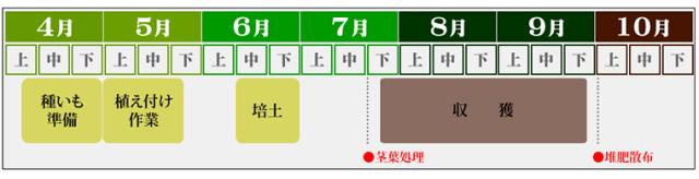 収穫スケジュール