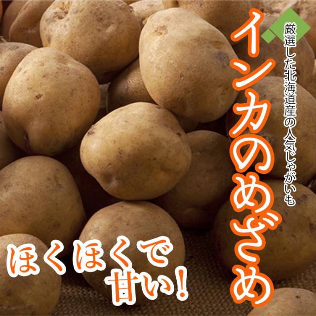 インカイントロ