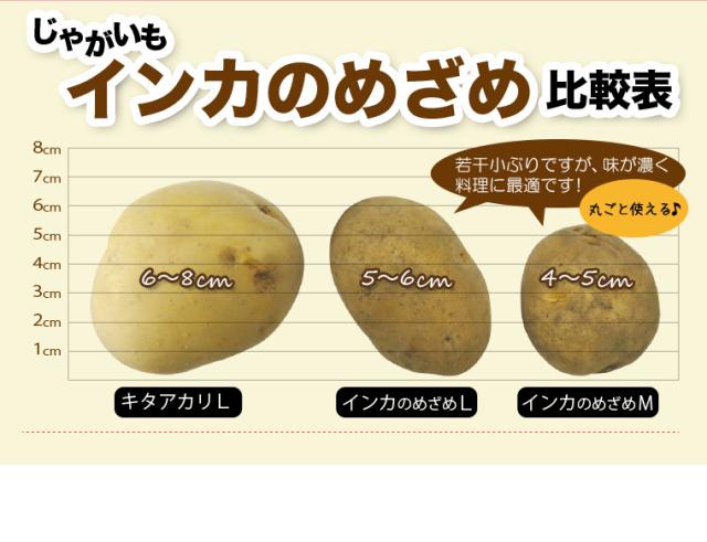 比較表