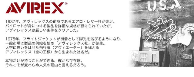 IDカードホルダー AVIREX アヴィレックス メンズ レディース 男女兼用 ユニセックスパスケース AVX3519 ミリタリー 小銭入れ 通学 通勤 イーグル EAGLE アビレックス 黒 迷彩 ブラック ブランド アウトドア 定期入れ