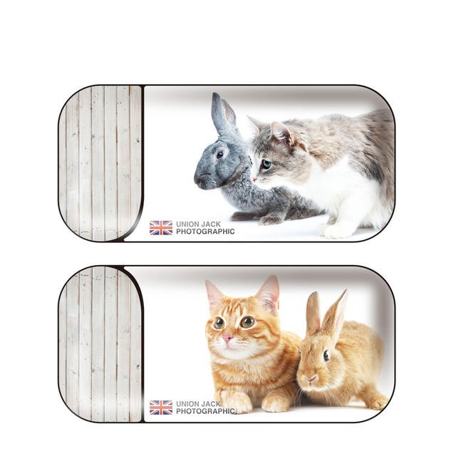 Iqos アイコス 商い シール ケース カバー タバコ 電子タバコ ステッカー ネコ 猫 Iqosシール アイコスシール Iqos