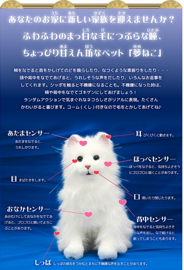 新品本物 セガトイズ 夢ねこプレミアム 動くぬいぐるみ 動くおもちゃ 夢ペットシリーズ 夢ネコプレミアム クリスマス プレゼン 全ての Olsonesq Com 新品本物 セガトイズ 夢ねこプレミアム 動くぬいぐるみ 動くおもちゃ 夢ペットシリーズ 夢ネコプレミアム クリスマス プレゼン 全ての Olsonesq Com