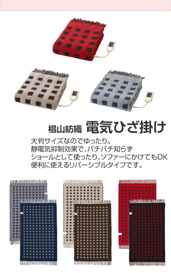 被り心地最高 椙山紡織 電気ひざ掛け Sb H501 特典 送料無料 お米 ポイント 大判サイズ 静電気抑制 電気膝掛け毛布 電気膝掛毛布 日本公式品