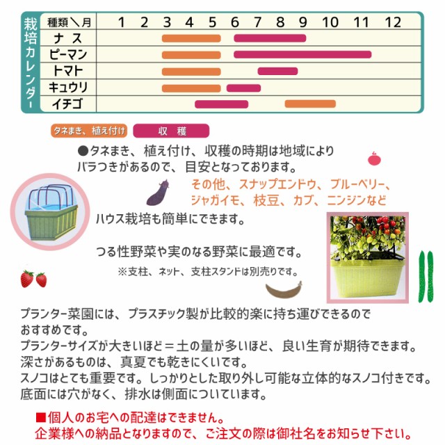 野菜 プランター 菜園 34L 630SN深型 12個セット 63×30×33H(cm) 深型 スノコ付 グリーン アイカ aika 法人のみ配送  送料無料｜au PAY マーケット