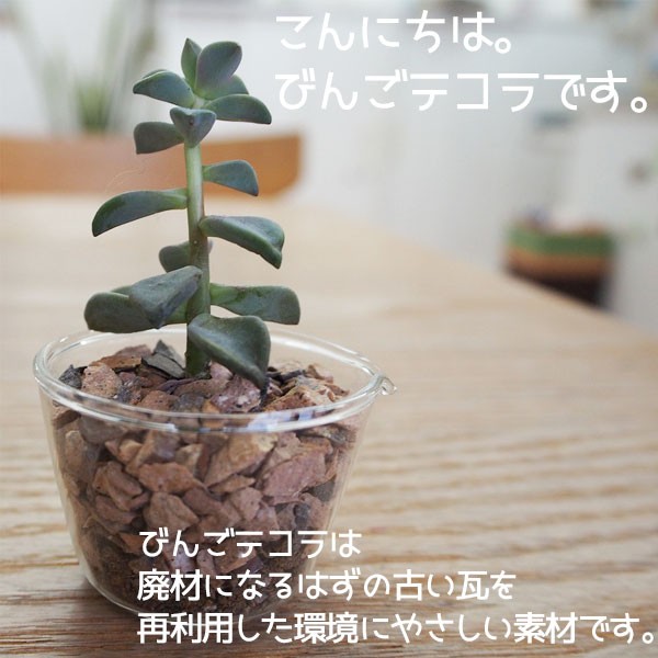 瓦チップ びんご テコラ Lサイズ 赤 ガーデニング DIY 外溝 お庭の雑草 防犯 対策に 送料無料の通販はau PAY マーケット -  プロツールショップヤブモト | au PAY マーケット－通販サイト