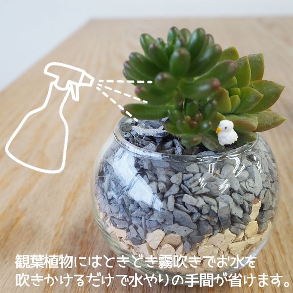 瓦チップ びんご テコラ Lサイズ 赤 ガーデニング DIY 外溝 お庭の雑草 防犯 対策に 送料無料の通販はau PAY マーケット -  プロツールショップヤブモト | au PAY マーケット－通販サイト