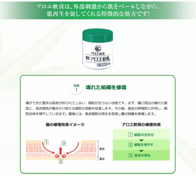 あかぎれ 間宮 アロエ軟膏 50g 第3類医薬品 ひび あかぎれ 切りきず しもやけ やけど ぢ 打身 アロエ 軟膏 小林製薬 M0 海外の通販はau Pay マーケット 松林堂薬局 アクセット 商品ロットナンバー