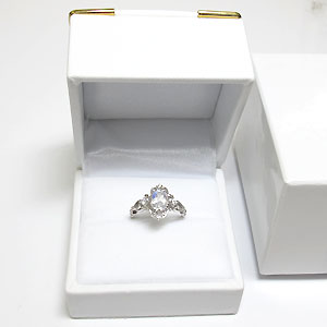 ジュエリーケース