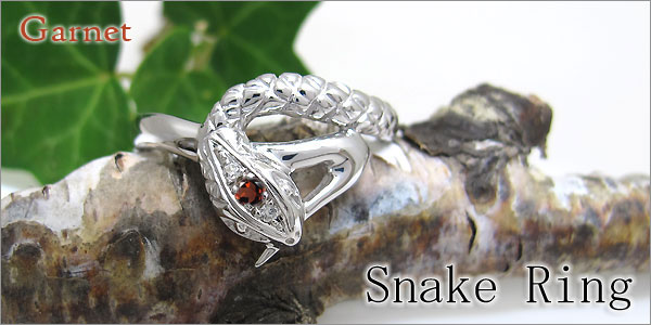 スネーク,蛇,ヘビ