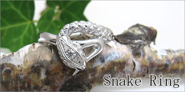 スネーク,蛇,ヘビ