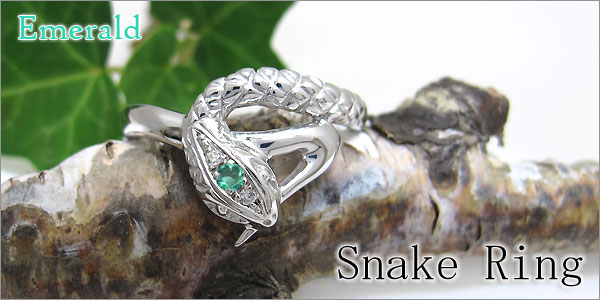 スネーク,蛇,ヘビ