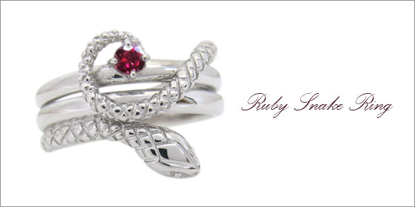 スネーク,蛇,ヘビ