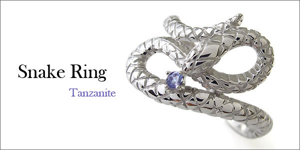 スネーク,蛇,ヘビ