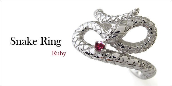 スネーク,蛇,ヘビ